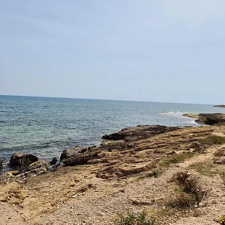 Apartment Playa La Veleta